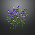 Vibrant Blooming Purple Flowers With Green Stems And Leaves Clustered Together
