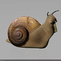 3D Rendered Snail With Spiral Brown Shell And Light Brown Textured Body