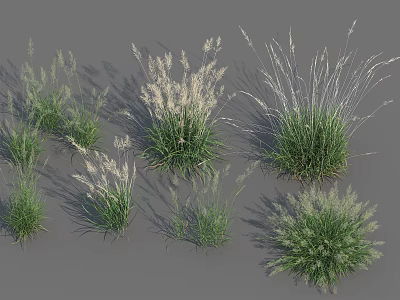 Various Types Of Green Grasses And Flowering Plants For Garden Landscaping 3d model