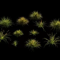 Modern Cyperus Fragrant Aconite Ornamental Grass 3d model