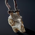 White Animal Skull With Curved Horns On Dark Background And Shadow
