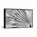 Black and White Palm Leaf Plant Painting Featuring Radiating Foliage In Black Frame