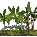 Lush Arbor Collection With Green Leaves And Grass In Natural Landscape