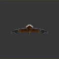 Eagle with spread wings brown body black wings yellow claws on dark reflective gray background