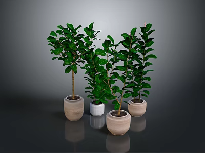 Four Green Indoor Potted Plants In Different Colored Pots Against Gray Background 3d model