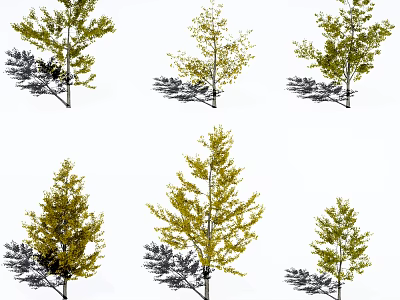 Various Types of Arbor Trees With Different Leaf Colors for Landscaping Projects 3d model