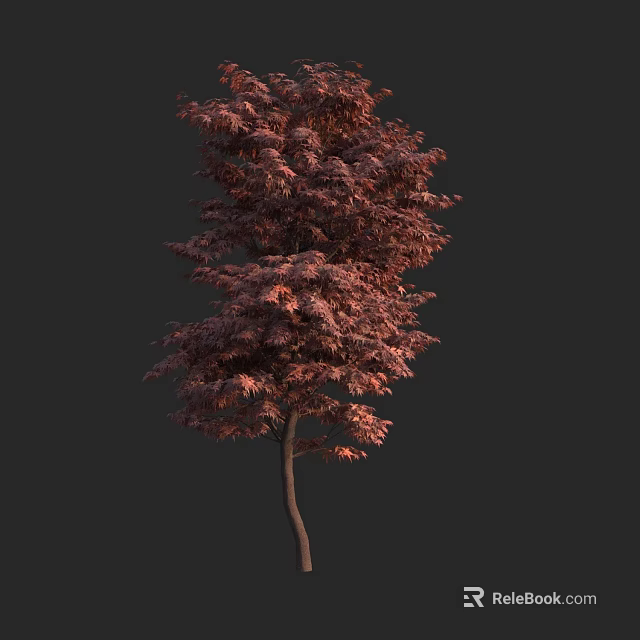 Tall Tree With Red Leaves And Slender Trunk Against Dark Background 3d model 