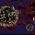 Medical Diagnostic Device Visualizing Virus Particles Among Red Blood Cells 3d model