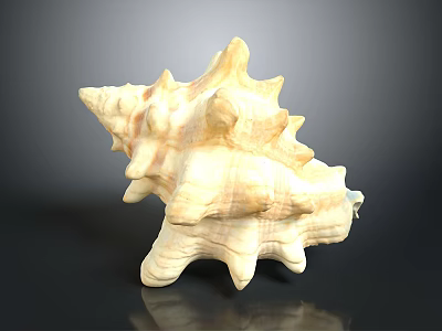 Intricate Conch Shell Sculpture Carving With Natural Texture And Artistic Details 3d model