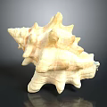 Intricate Conch Shell Sculpture Carving With Natural Texture And Artistic Details