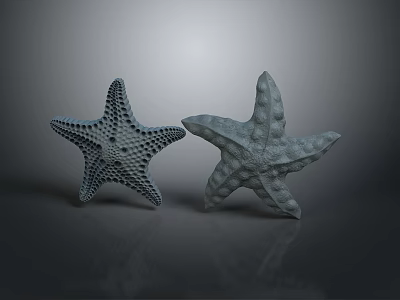 Two Gray Starfish With Textured Surfaces On Dark Reflective Background 3d model
