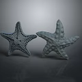 Two Gray Starfish With Textured Surfaces On Dark Reflective Background 3d model