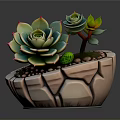 Cracked Ceramic Succulent Planter With Green Red Edge Plants And Small Pebbles