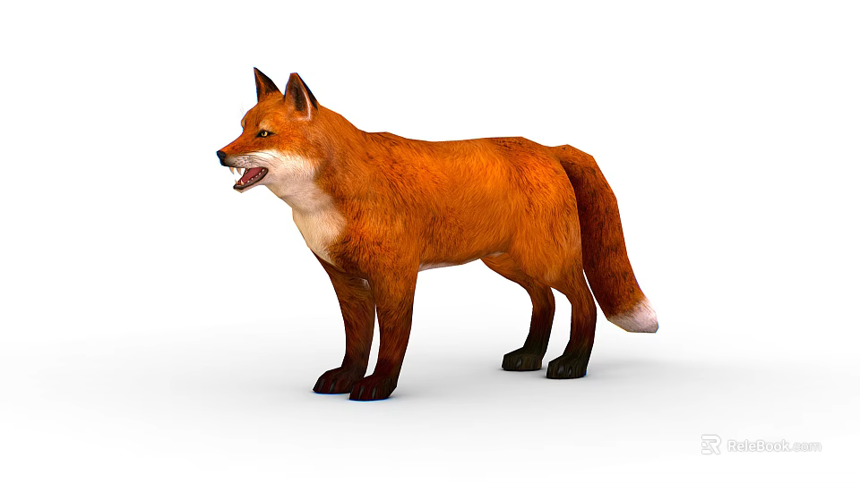 Red Fox With Orange Fur Standing And Open Mouth Isolated On White Background 3d model 