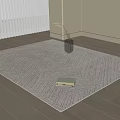Light Beige Textured Square Area Rug on Wooden Floor with Dried Plants Vase and Books