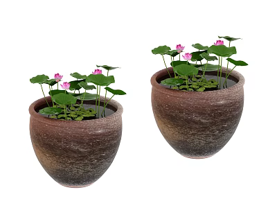 Bonsai Potted Plants in Terracotta Pots with Green Lotus Leaves and Pink Flowers 3d model