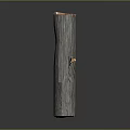 Arbor Tree Trunk With Natural Wooden Texture Smooth Cross Section And Grain Details