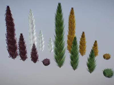 Colorful Decorative Plants With Various Heights Different Shapes And Multiple Colors 3d model