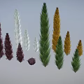 Colorful Decorative Plants With Various Heights Different Shapes And Multiple Colors