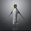 Adorable Penguin Standing With Black And White Feathers Yellow Neck On Gray Background