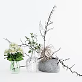 Vase With White Daisies Green Plants Clear Glass Vase Gray Stone And Decorative Twigs