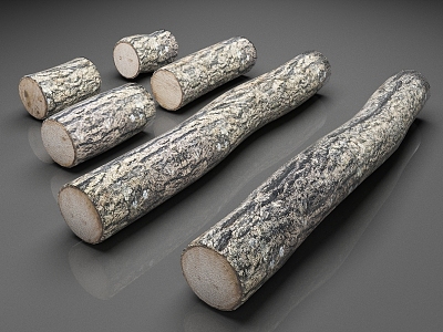 Wood Trunk Trees Timber Log 3d model