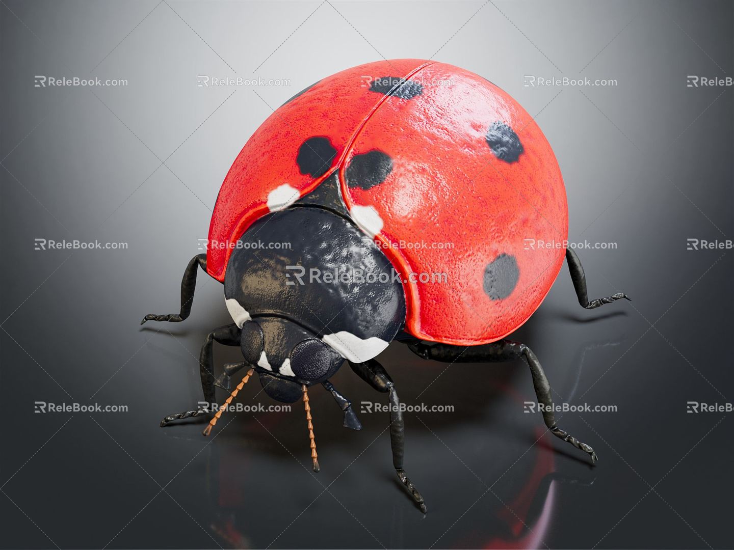 Modern ladybug ladybug insect 3d model