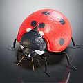 Detailed View Of Red Ladybug With Black Spots And Shiny Body