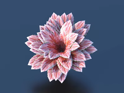 Pink And White Layered Petal Flower With Radiant Bloom Against Blue Background 3d model
