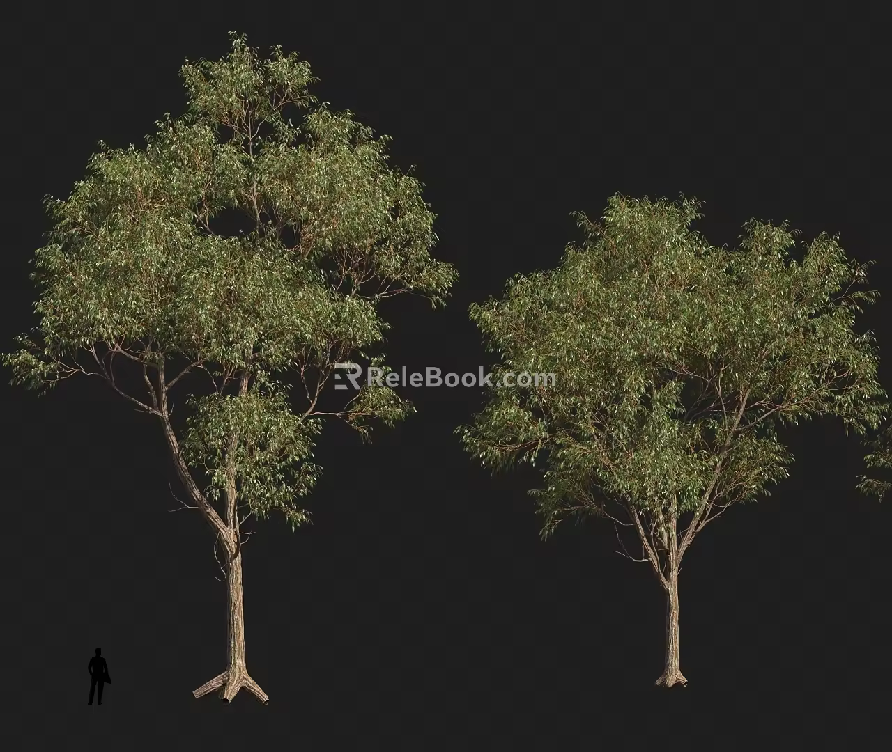 Desert Tree Tropical Tree Tropical Tree Preset 3d model