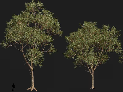 Desert Tree Tropical Tree Tropical Tree Preset 3d model