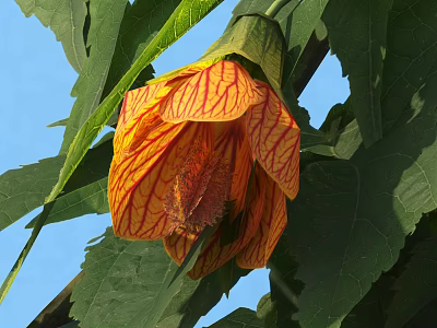 Vibrant Orange Red Striped Flower With Green Leaves Against Blue Sky 3d model
