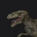 Dinosaur Raptor 3d model