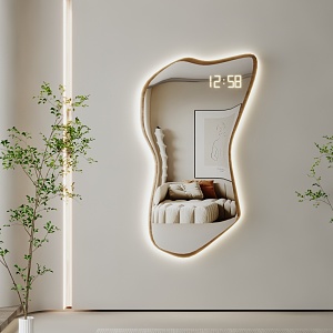 Modern Mirror Dressing Mirror Art Mirror Alien Mirror Floor Mirror Irregular Mirror Full-length Mirror 3d model