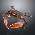 Crab with dark body showcasing red claws on gray background with reflection 3d model