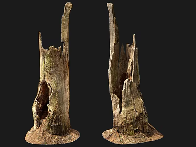 Rustic Weathered Wooden Stumps With Stone Base And Natural Rough Texture 3d model