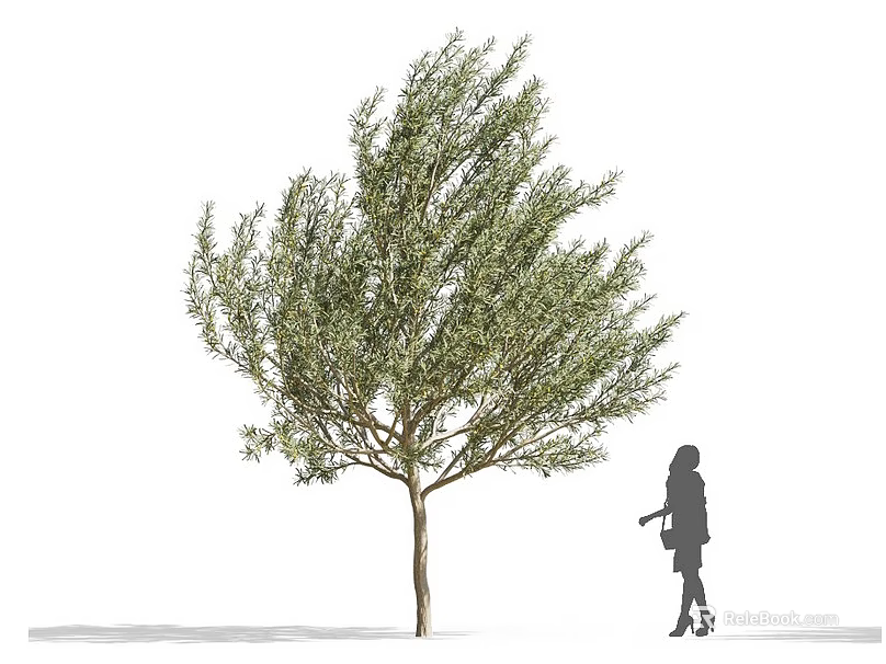 Lush Green Tree With Silhouette Of A Woman Walking In Dress And High Heels 3d model 