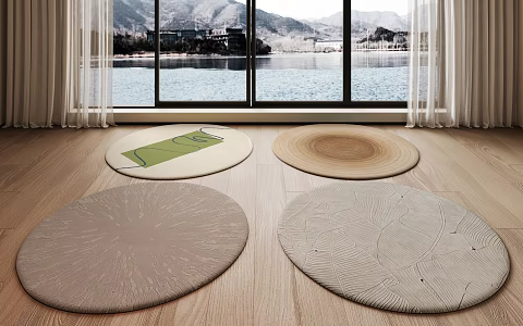 Modern Round Carpet 3d model
