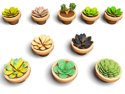 Various Types of Succulent Plants in Ceramic Pots Neatly Arranged with Diverse Shapes and Colors 3d model