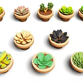 Various Types of Succulent Plants in Ceramic Pots Neatly Arranged with Diverse Shapes and Colors