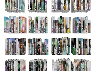 Assorted Colorful Books And Magazines Arranged On Shelves With Different Sizes 3d model