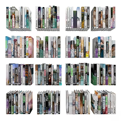 Assorted Colorful Books And Magazines Arranged On Shelves With Different Sizes 3d model