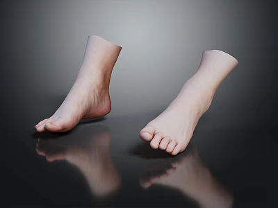 Realistic Human Feet Organ Structure With Detailed Toes Fine Hair And Smooth Skin Surface 3d model