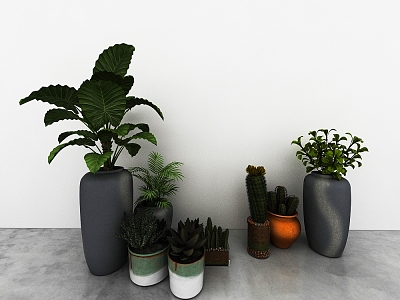 green plant model