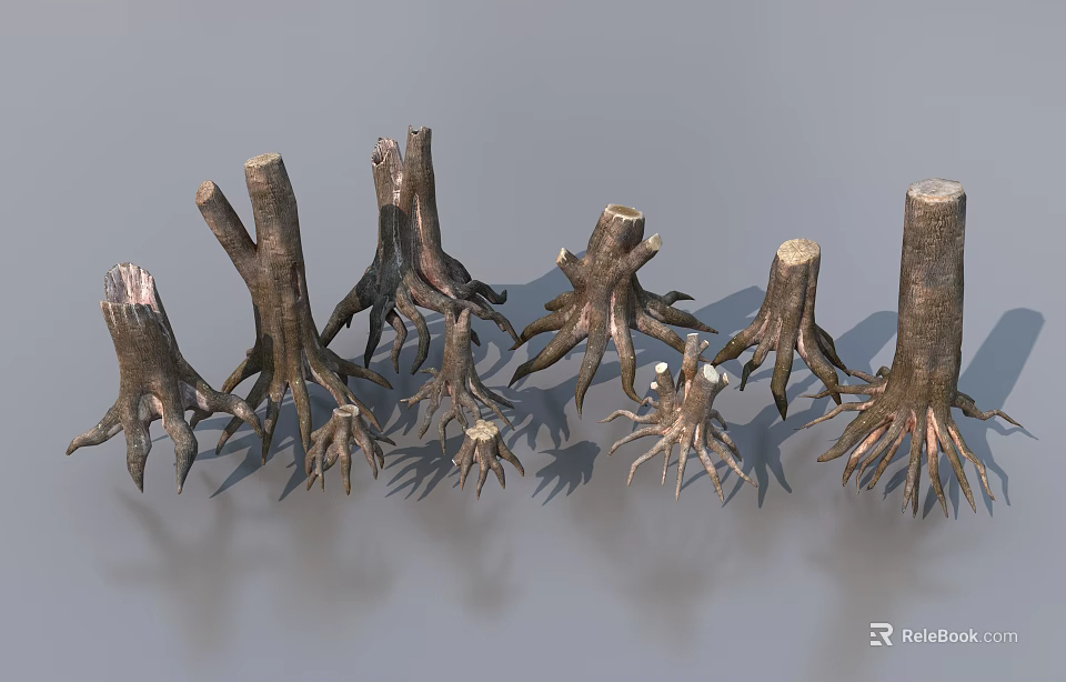 Natural Plant Combination Featuring Multiple Tree Stumps And Exposed Roots 3d model