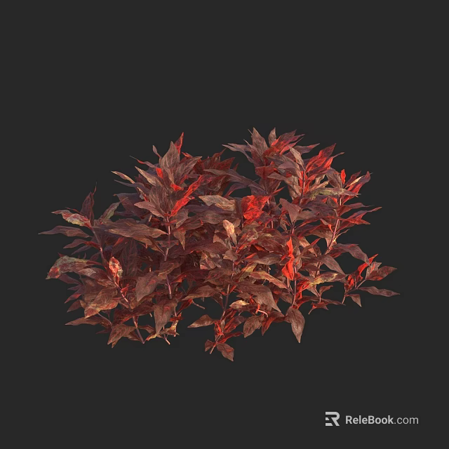 Red and Brown Foliage Dense Plant Bush with Vibrant Leaves on Dark Background 3d model 