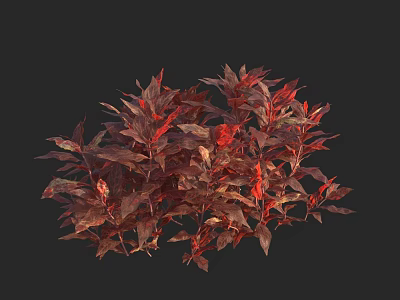 Red and Brown Foliage Dense Plant Bush with Vibrant Leaves on Dark Background 3d model