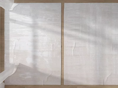 Two Cream Colored Square Rugs With Textured Surface On Wooden Floor And Natural Light Shadows 3d model