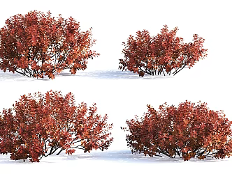 Shrubs Autumn Shrubs Red Shrubs 3d model