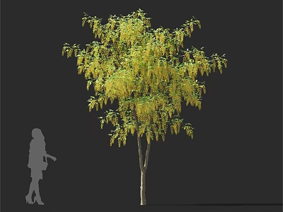 Tall Arbor With Yellow Hanging Leaves And Silhouette Of A Person 3d model